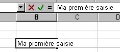 saisie 1.jpg (6722 octets)