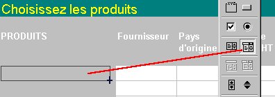 zone_liste_modif_etape1.jpg (13309 octets)